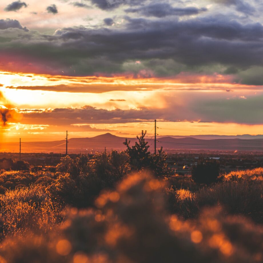 Online Therapy in New Mexico: Embracing Mental Health in the Land of Enchantment